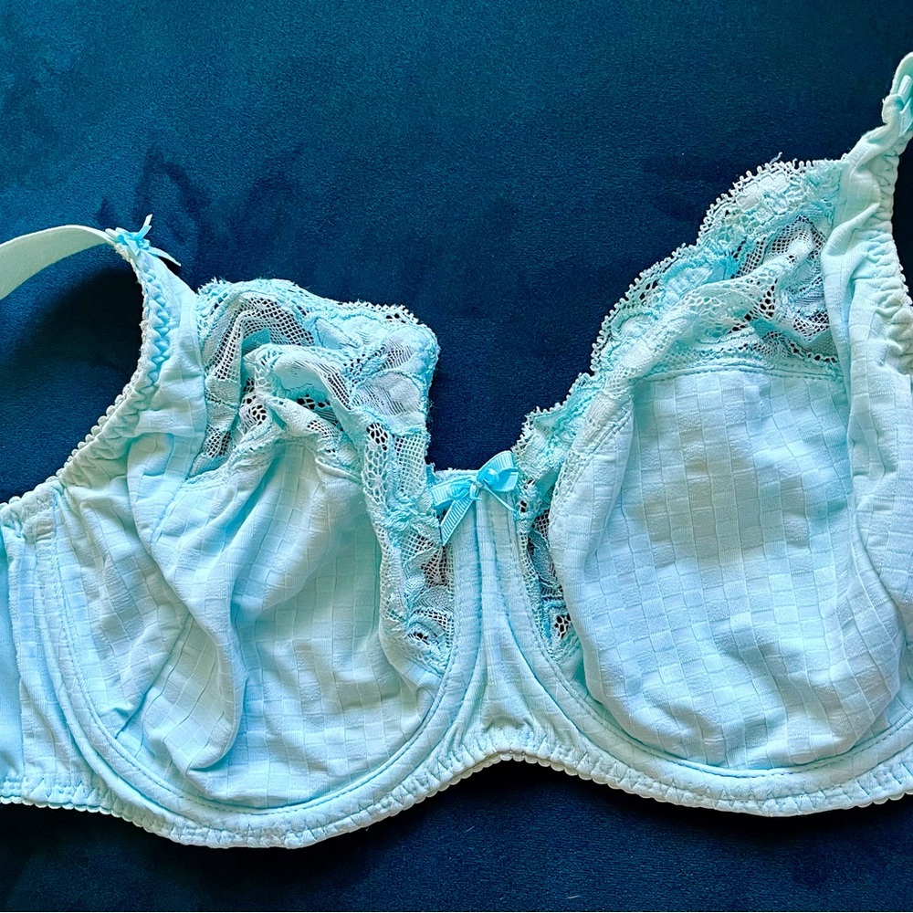 Light Blue PRIMADONNA BRA 32F